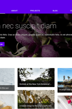 Material Design Google